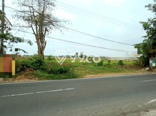 Kavling Tanah Dijual di Karawang Barat Karawang Spesifikasi 32495m2 Kavling Tanah Dijual di Karawang Barat Karawang Spesifikasi 32495m2