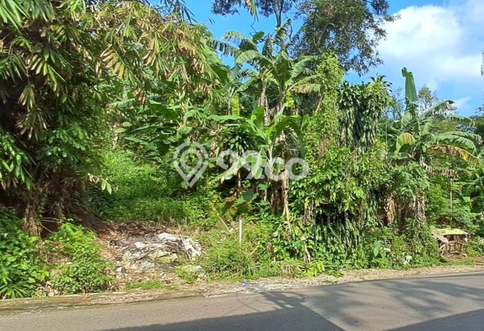 Lahan Kosong Dijual di Cidadap, Bandung, Luas 800m2 Area Strategis Lahan Kosong Dijual di Cidadap, Bandung, Luas 800m2 Area Strategis