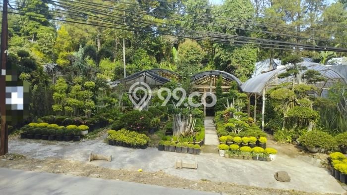 Tanah Investasi Dijual di Bandung Punya Luas 1916m2 Tanah Investasi Dijual di Bandung Punya Luas 1916m2