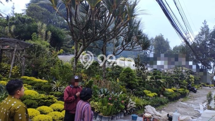 Tanah Investasi Dijual di Bandung Punya Luas 1916m2 Tanah Investasi Dijual di Bandung Punya Luas 1916m2