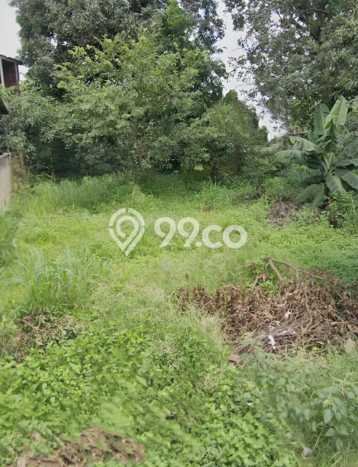 Rumah Luas Asri 3 KT Siap Huni di Pasir Putih Depok Rumah Luas Asri 3 KT Siap Huni di Pasir Putih Depok