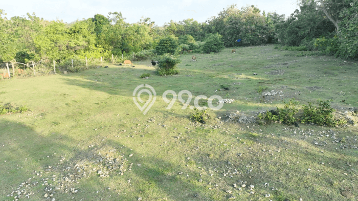 Tanah Dijual Lokasi Strategis di Badung dengan Luas 9609m2 Tanah Dijual Lokasi Strategis di Badung dengan Luas 9609m2