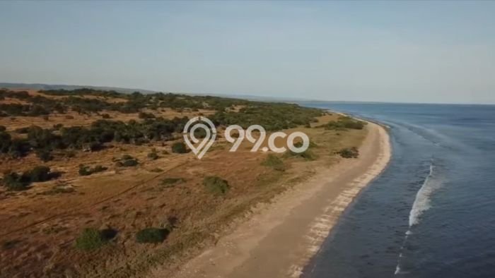 Tanah Kavling untuk Dijual di Mamboro Sumba Tengah 760000m2 Tanah Kavling untuk Dijual di Mamboro Sumba Tengah 760000m2