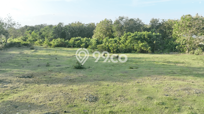 Tanah Dijual Lokasi Strategis di Badung dengan Luas 9609m2 Tanah Dijual Lokasi Strategis di Badung dengan Luas 9609m2