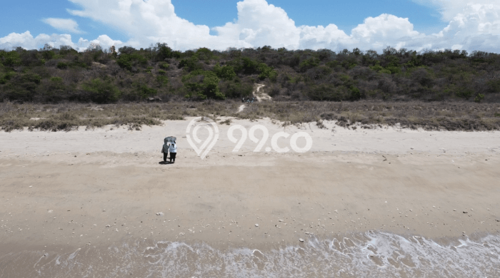 Tanah Kavling untuk Dijual di Mamboro Sumba Tengah 760000m2 Tanah Kavling untuk Dijual di Mamboro Sumba Tengah 760000m2