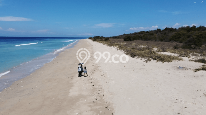 Tanah Kavling untuk Dijual di Mamboro Sumba Tengah 760000m2 Tanah Kavling untuk Dijual di Mamboro Sumba Tengah 760000m2