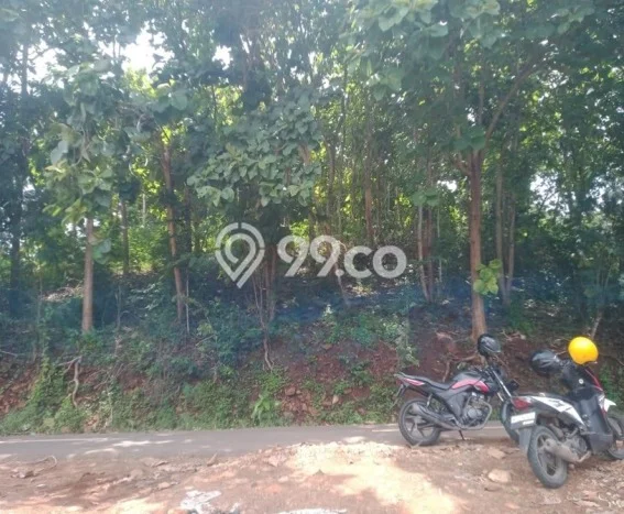 Tanah Dijual Area Strategis di Labuan Bajo Manggarai Barat 9756m2 Tanah Dijual Area Strategis di Labuan Bajo Manggarai Barat 9756m2