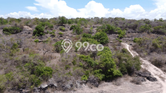 Tanah Kavling untuk Dijual di Mamboro Sumba Tengah 760000m2 Tanah Kavling untuk Dijual di Mamboro Sumba Tengah 760000m2