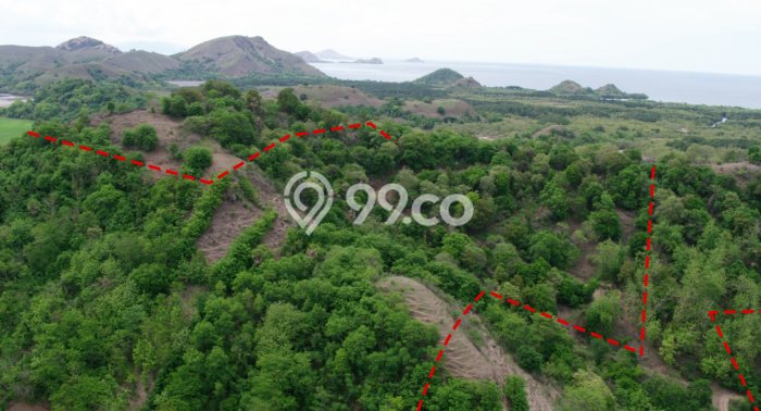 Dijual Tanah di Manggarai Barat, Luas 183000m2 - Dijual Tanah di Manggarai Barat, Luas 183000m2 -