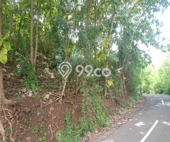 Tanah Dijual Area Strategis di Labuan Bajo Manggarai Barat 9756m2 Tanah Dijual Area Strategis di Labuan Bajo Manggarai Barat 9756m2