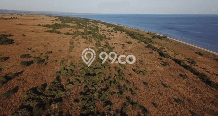 Tanah Kavling untuk Dijual di Mamboro Sumba Tengah 760000m2 Tanah Kavling untuk Dijual di Mamboro Sumba Tengah 760000m2
