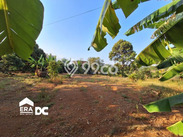 Tanah Kawasan Dawe, Luas 3321m², Akses Jalan Utama Tanah Kawasan Dawe, Luas 3321m², Akses Jalan Utama