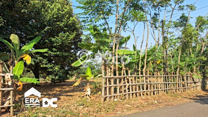 Tanah Kawasan Dawe, Luas 3321m², Akses Jalan Utama Tanah Kawasan Dawe, Luas 3321m², Akses Jalan Utama