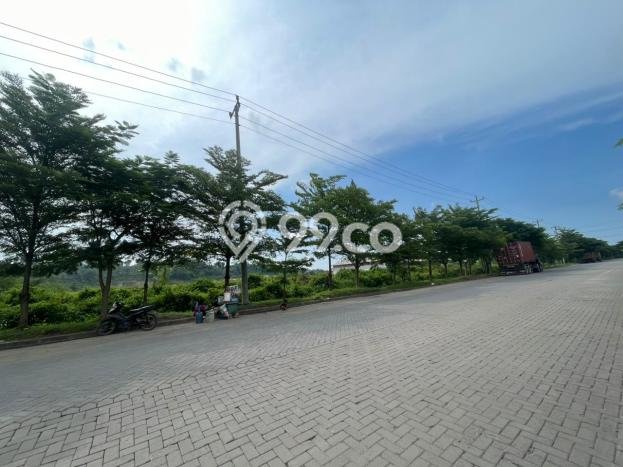 Gudang Disewakan Lokasi Ngaliyan Semarang Harga Spesial! Gudang Disewakan Lokasi Ngaliyan Semarang Harga Spesial!