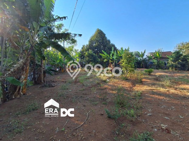 Tanah Kawasan Dawe, Luas 3321m², Akses Jalan Utama Tanah Kawasan Dawe, Luas 3321m², Akses Jalan Utama