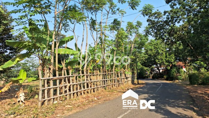 Tanah Kawasan Dawe, Luas 3321m², Akses Jalan Utama Tanah Kawasan Dawe, Luas 3321m², Akses Jalan Utama