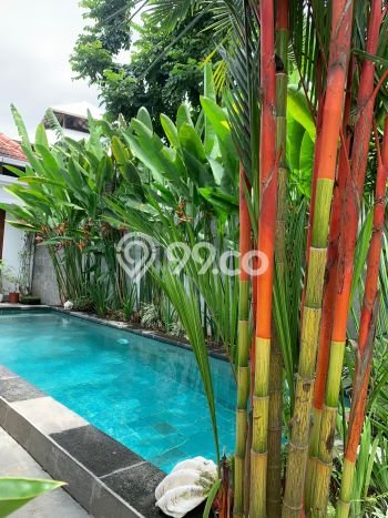 3 Bedroom Open Sublease In Cemagi Pet-Friendly Villa With Garden Near Beach 3 Bedroom Open Sublease In Cemagi Pet-Friendly Villa With Garden Near Beach
