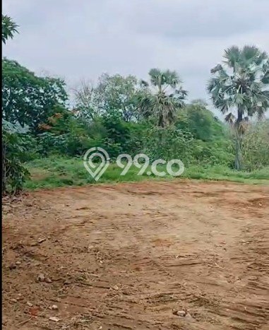 Dijual Lahan Strategis 7 Are, Lokasi Sangsit Buleleng, Bali Utara Dijual Lahan Strategis 7 Are, Lokasi Sangsit Buleleng, Bali Utara
