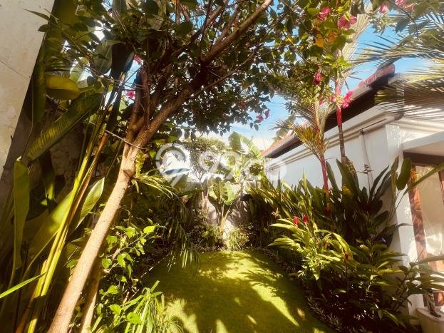 3 Bedroom Open Sublease In Cemagi Pet-Friendly Villa With Garden Near Beach 3 Bedroom Open Sublease In Cemagi Pet-Friendly Villa With Garden Near Beach
