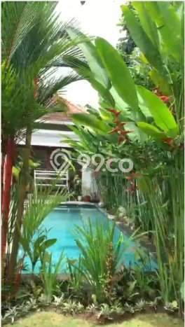 3 Bedroom Open Sublease In Cemagi Pet-Friendly Villa With Garden Near Beach 3 Bedroom Open Sublease In Cemagi Pet-Friendly Villa With Garden Near Beach