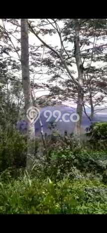 Tanah Kavling di Kintamani Bangli Disewakan dengan Luas 1989m2 Tanah Kavling di Kintamani Bangli Disewakan dengan Luas 1989m2