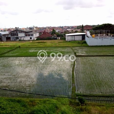 Hunian Strategis 100m2 di Kerobokan Badung 2 Bedroom Hunian Strategis 100m2 di Kerobokan Badung 2 Bedroom