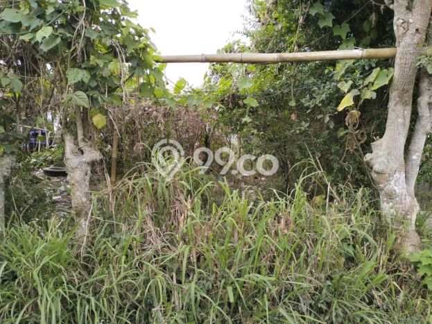 Siap Disewakan Tanah di Kintamani Luas 500m2 Area Potensial Siap Disewakan Tanah di Kintamani Luas 500m2 Area Potensial