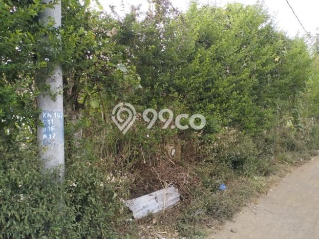 Siap Disewakan Tanah di Kintamani Luas 500m2 Area Potensial Siap Disewakan Tanah di Kintamani Luas 500m2 Area Potensial