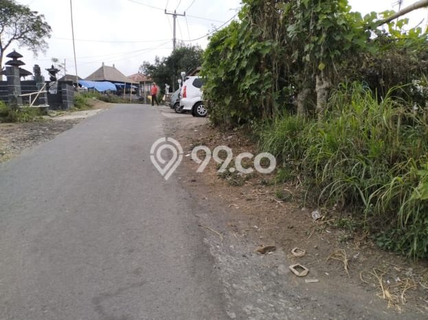 Siap Disewakan Tanah di Kintamani Luas 500m2 Area Potensial Siap Disewakan Tanah di Kintamani Luas 500m2 Area Potensial