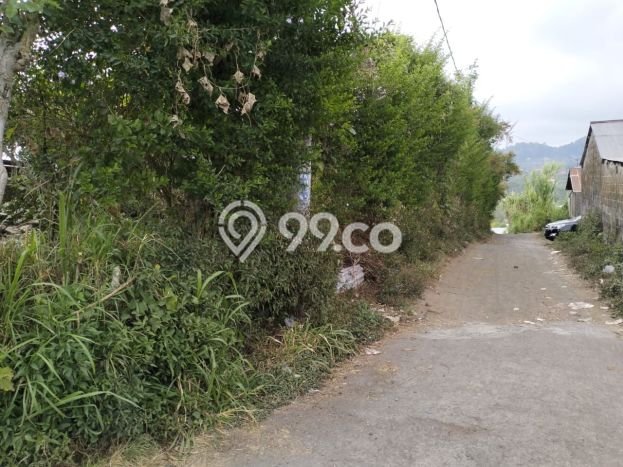 Siap Disewakan Tanah di Kintamani Luas 500m2 Area Potensial Siap Disewakan Tanah di Kintamani Luas 500m2 Area Potensial