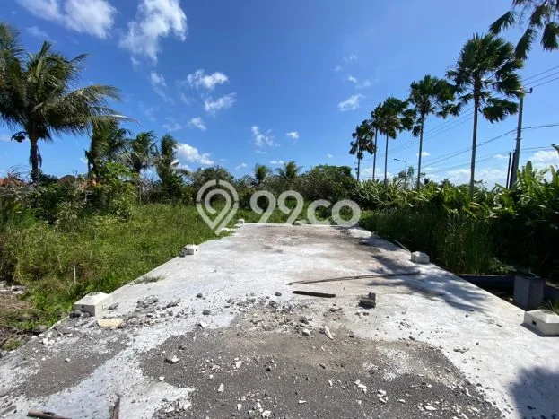 Tanah Kavling Dijual di Sibang Gede, Badung dengan Luas Tanah 4300m2 Tanah Kavling Dijual di Sibang Gede, Badung dengan Luas Tanah 4300m2
