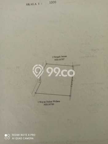 Tanah Kavling di Kintamani Bangli Disewakan dengan Luas 1989m2 Tanah Kavling di Kintamani Bangli Disewakan dengan Luas 1989m2