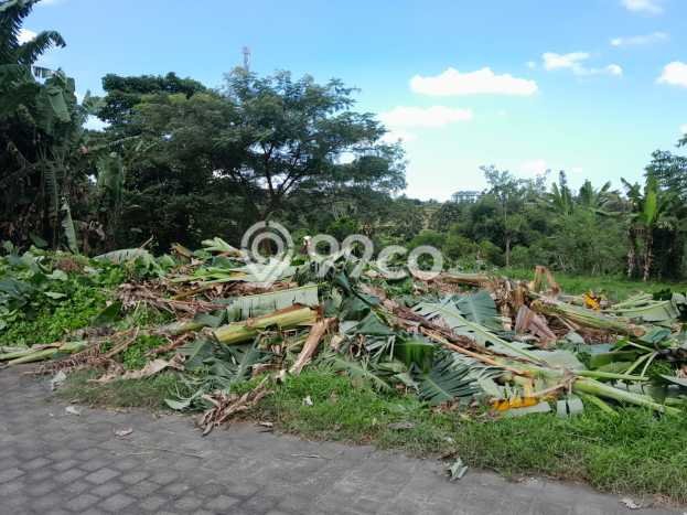 Tanah untuk Dijual Lokasi Tabanan, Tabanan Luas 560m2 SHM Tanah untuk Dijual Lokasi Tabanan, Tabanan Luas 560m2 SHM