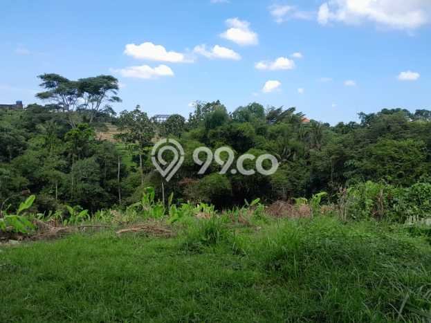 Tanah untuk Dijual Lokasi Tabanan, Tabanan Luas 560m2 SHM Tanah untuk Dijual Lokasi Tabanan, Tabanan Luas 560m2 SHM