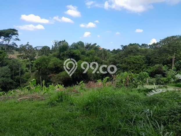 Tanah untuk Dijual Lokasi Tabanan, Tabanan Luas 560m2 SHM Tanah untuk Dijual Lokasi Tabanan, Tabanan Luas 560m2 SHM