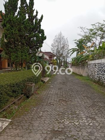 Rumah Minimalis Favorit Siap Huni Area Cipanas LT 238m2 Rumah Minimalis Favorit Siap Huni Area Cipanas LT 238m2