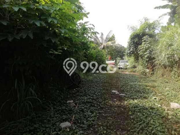 Kavling Tanah Dijual di Ciputat Tangerang Selatan Spesifikasi 984m2 Kavling Tanah Dijual di Ciputat Tangerang Selatan Spesifikasi 984m2