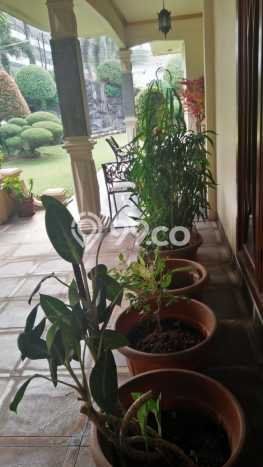Ready to Use! Luxury House LT 498m2 Desain Elegan di Joglo Ready to Use! Luxury House LT 498m2 Desain Elegan di Joglo
