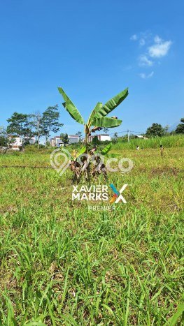 Tanah Komersial Dijual di Batu Batu 1652m2 Tanah Komersial Dijual di Batu Batu 1652m2