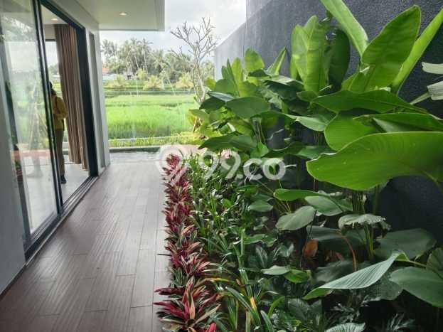 DIJUAL! Vila Kawasan Ubud, Area 137m2m², Akses ke Fasilitas Umum DIJUAL! Vila Kawasan Ubud, Area 137m2m², Akses ke Fasilitas Umum