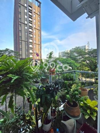 Apartemen Cozy Dijual di Tangerang Spesifikasi 1 KT, 1 KM Apartemen Cozy Dijual di Tangerang Spesifikasi 1 KT, 1 KM