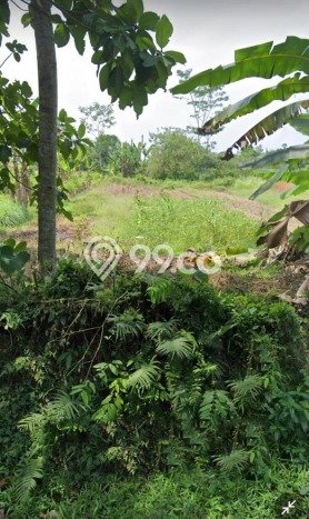 Lahan Dijual Lokasi Serang, Serang dengan Luas Tanah 20000m2 dan Status SHM Lahan Dijual Lokasi Serang, Serang dengan Luas Tanah 20000m2 dan Status SHM