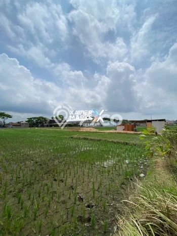 Jarang Ada! Tanah di Kepanjen Punya Luas 976m2 AJB Jarang Ada! Tanah di Kepanjen Punya Luas 976m2 AJB