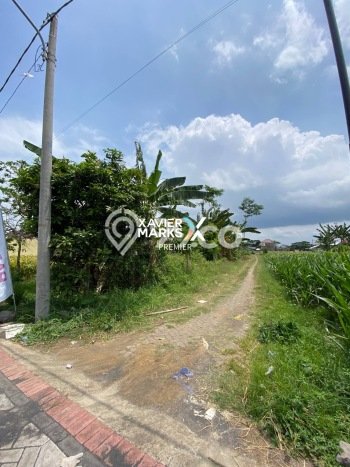 Jarang Ada! Tanah di Kepanjen Punya Luas 976m2 AJB Jarang Ada! Tanah di Kepanjen Punya Luas 976m2 AJB