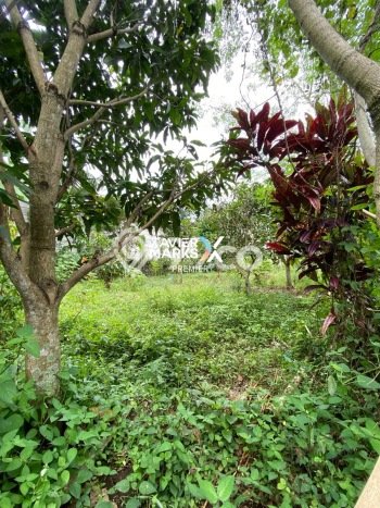 Kavling Tanah Dijual di Pakis Malang Spesifikasi 572m2 Kavling Tanah Dijual di Pakis Malang Spesifikasi 572m2