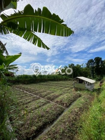 Dijual Tanah di Dau Malang Luas 1m2 SHM Dijual Tanah di Dau Malang Luas 1m2 SHM