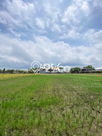 Jarang Ada! Tanah di Kepanjen Punya Luas 976m2 AJB Jarang Ada! Tanah di Kepanjen Punya Luas 976m2 AJB