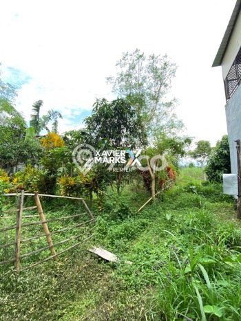 Kavling Tanah Dijual di Pakis Malang Spesifikasi 572m2 Kavling Tanah Dijual di Pakis Malang Spesifikasi 572m2