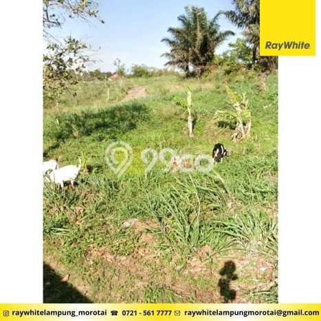 Lahan untuk Dijual di Sukabumi Bandar Lampung Luas 60679m2 Lahan untuk Dijual di Sukabumi Bandar Lampung Luas 60679m2