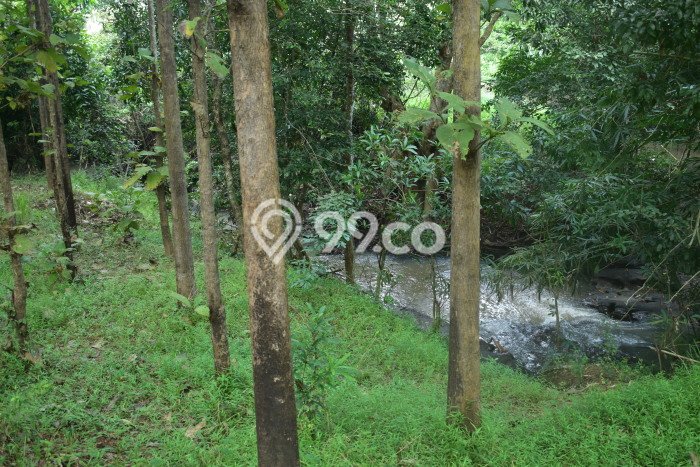 Tanah Dijual Lokasi Natar, Lampung Selatan Luas 769150m2 Legalitas Aman Tanah Dijual Lokasi Natar, Lampung Selatan Luas 769150m2 Legalitas Aman